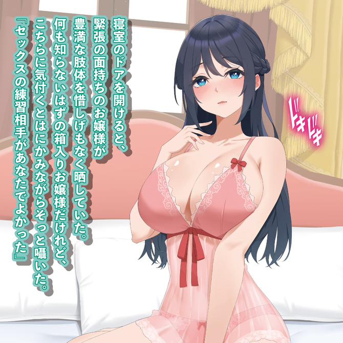 もしも 箱入りお嬢様とセックスの練習をすることになったら 商品説明画像5