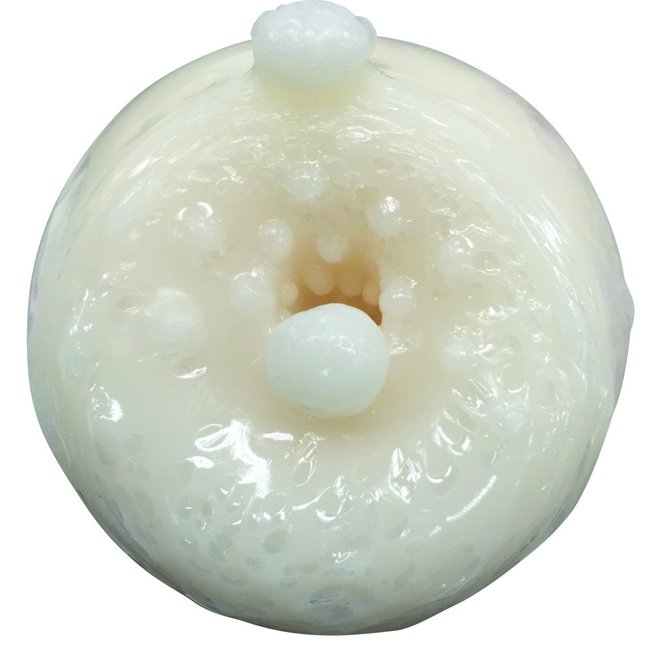 【販売終了・アダルトグッズ、大人のおもちゃアーカイブ】Ligre japan 真珠の姫 商品説明画像3