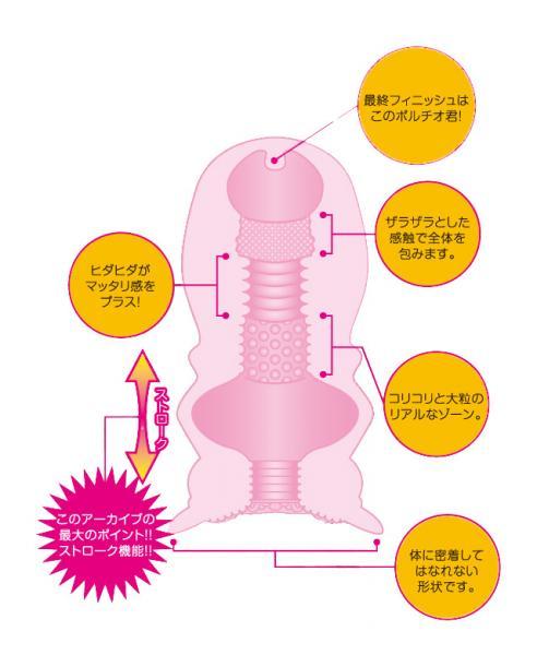 「日本製」TOKYO DESIGN Archive ストローク&ボルチオ 商品説明画像3