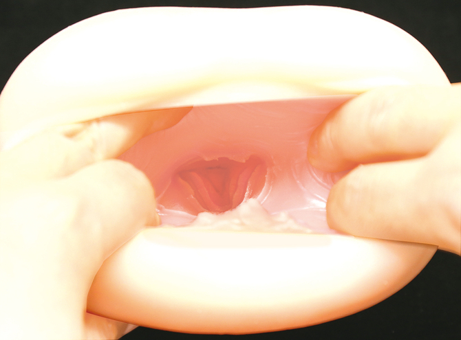 サキュバス眼鏡メイドの肉厚ワレメ	TMPR-005 商品説明画像7