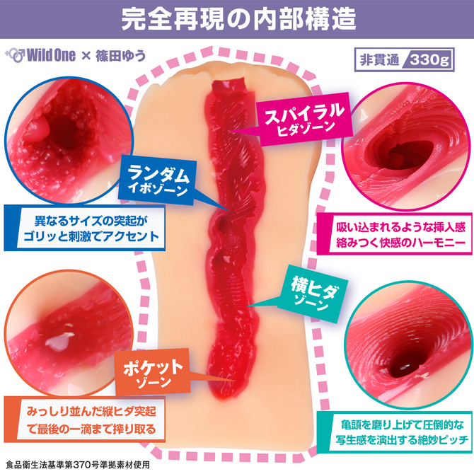 日本の名器　篠田ゆう 商品説明画像4