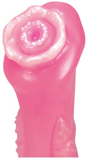 性感開発バイブ Gナビ クリ剥き1号　ピンク 商品説明画像2