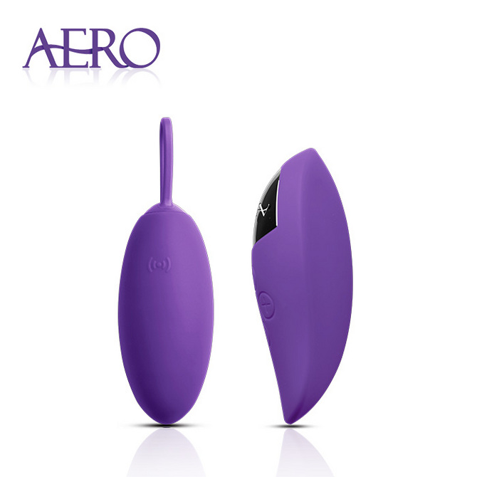 AERO SPOT Purple スポット パープル　A020purple　IKAZ-028 商品説明画像2