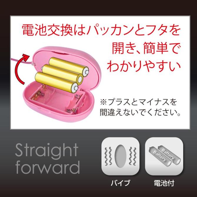 日本のローター【ＤＳ】ピンク 商品説明画像6