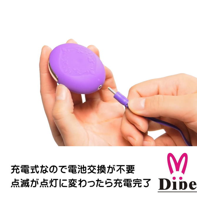 【Dibe】 ROSEローター　ピンク     PAGOS-005 商品説明画像7