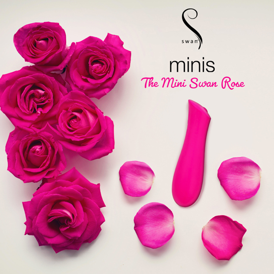 SWAN Mini Rose（スワン　ミニローズ ） 商品説明画像4