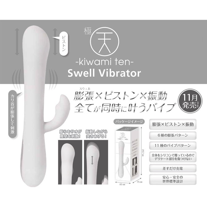 キワミテン 極天 - kiwami ten - スウェルバイブ Swell Vibrator [膨張×ピストン×振動]	GODS658 商品説明画像2