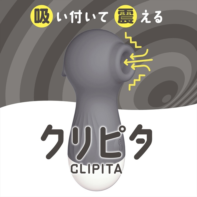 クリピタ　グレー　CLIPITA 商品説明画像2