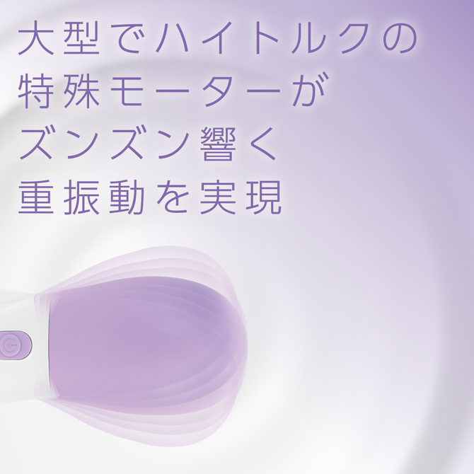 DENMA-ONE パープル 商品説明画像3