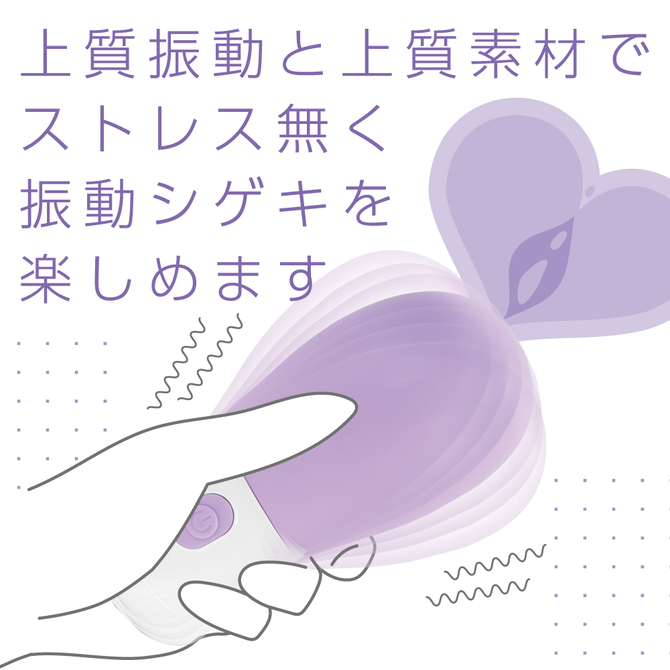 DENMA-ONE パープル 商品説明画像4