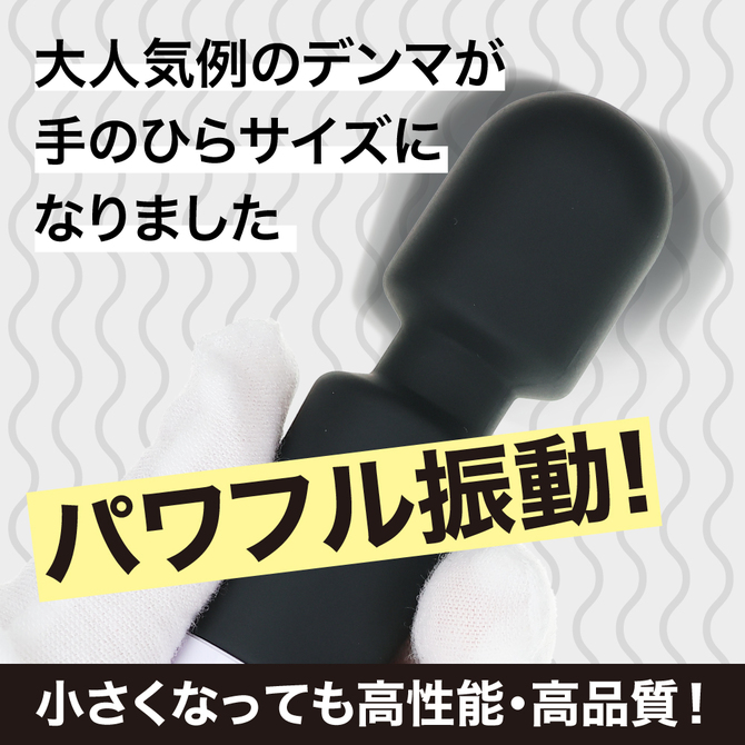 例のデンマポケット　ブラック（ｐ－３７２） 商品説明画像2