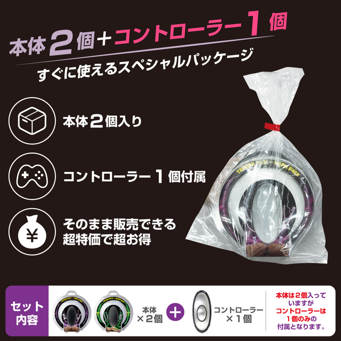 サンダーパルス 1＆3　特価ダブルセット 商品説明画像8