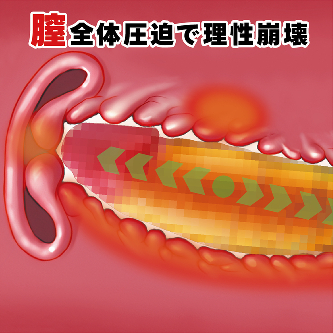 【ＫＩＮＧ　ＤＩＣＫ　黄金色】リモコンディルドバイブ（ＫＫ－１０６） 商品説明画像5